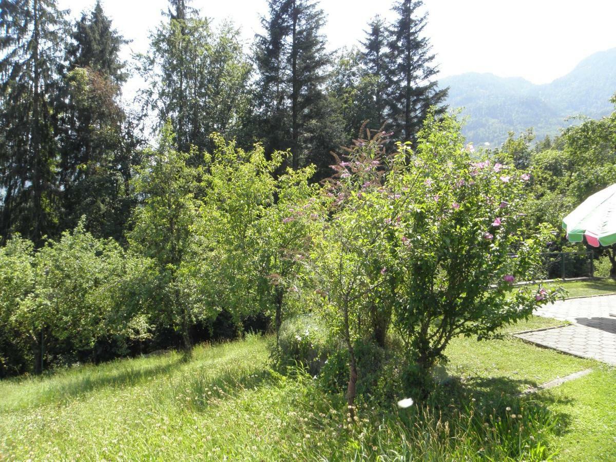 Ferienhaus-Loidl Bad Ischl Ngoại thất bức ảnh